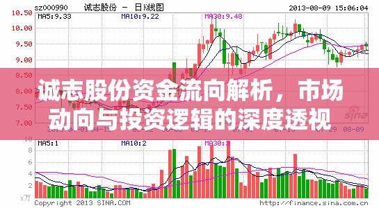 誠志股份資金流向解析，市場動向與投資邏輯的深度透視