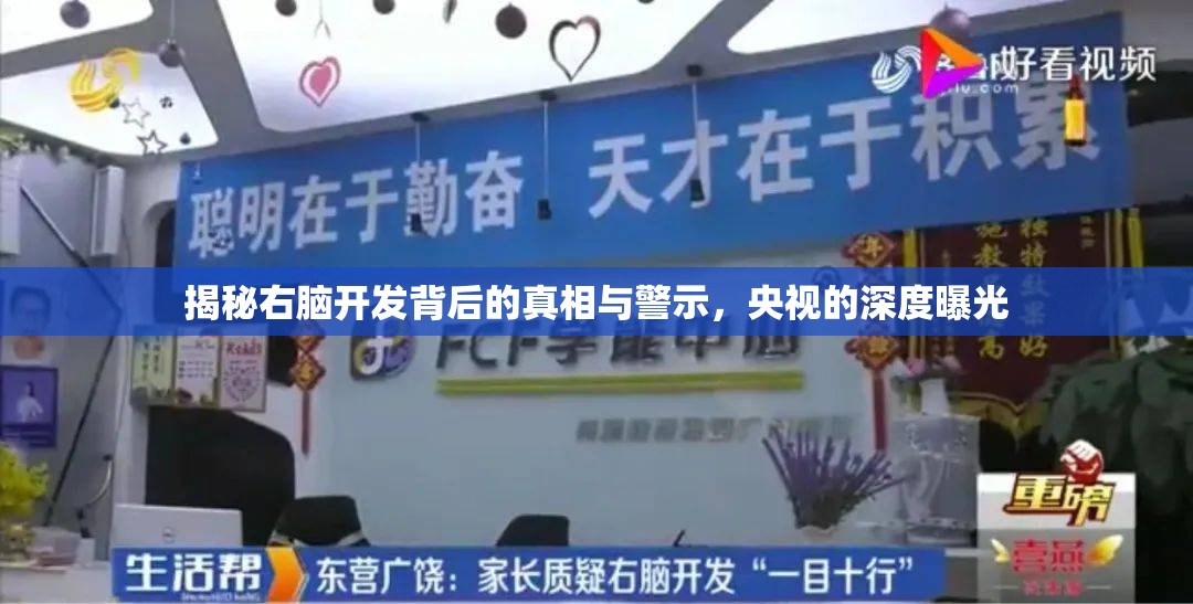 揭秘右腦開發(fā)背后的真相與警示，央視的深度曝光