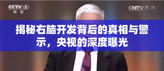 揭秘右腦開發(fā)背后的真相與警示，央視的深度曝光
