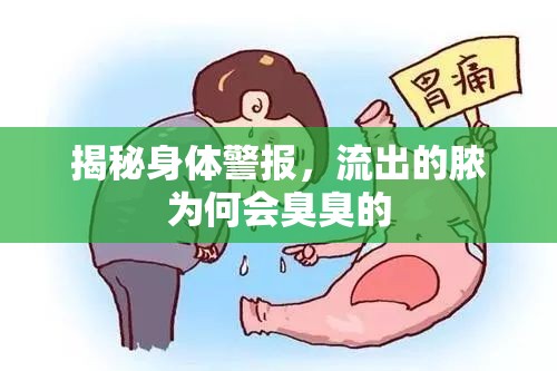 揭秘身體警報(bào)，流出的膿為何會(huì)臭臭的