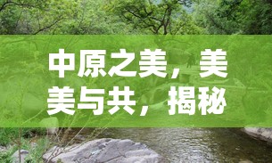 中原之美，美美與共，揭秘河南的隱秘風光