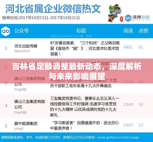 吉林省定額調(diào)整最新動態(tài)，深度解析與未來影響展望