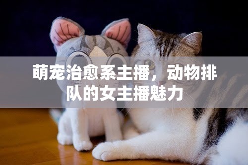 萌寵治愈系主播，動(dòng)物排隊(duì)的女主播魅力