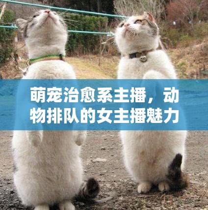 萌寵治愈系主播，動(dòng)物排隊(duì)的女主播魅力