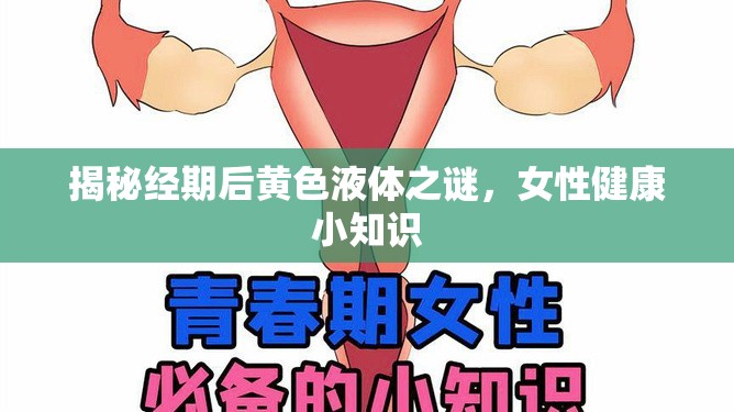 揭秘經(jīng)期后黃色液體之謎，女性健康小知識