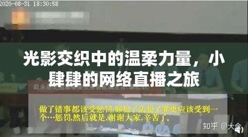 光影交織中的溫柔力量，小肆肆的網(wǎng)絡(luò)直播之旅