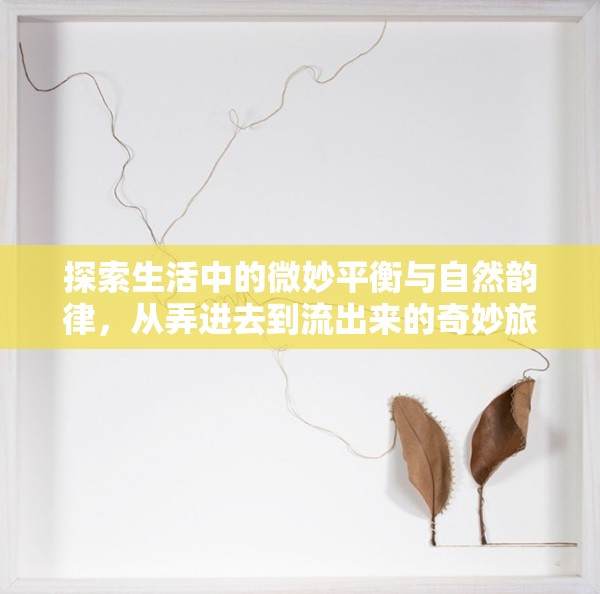 探索生活中的微妙平衡與自然韻律，從弄進(jìn)去到流出來的奇妙旅程