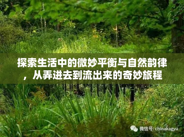 探索生活中的微妙平衡與自然韻律，從弄進(jìn)去到流出來的奇妙旅程