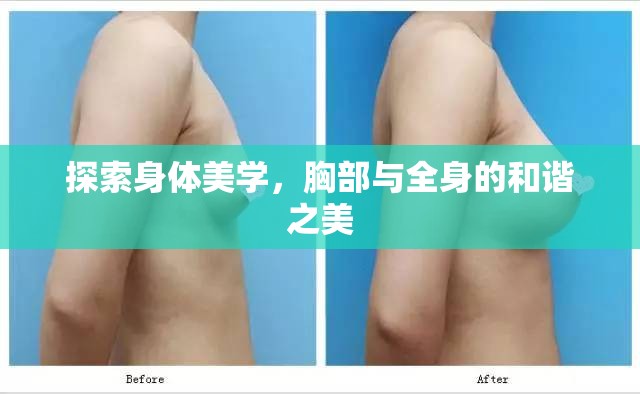探索身體美學，胸部與全身的和諧之美