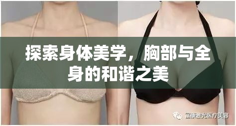 探索身體美學，胸部與全身的和諧之美