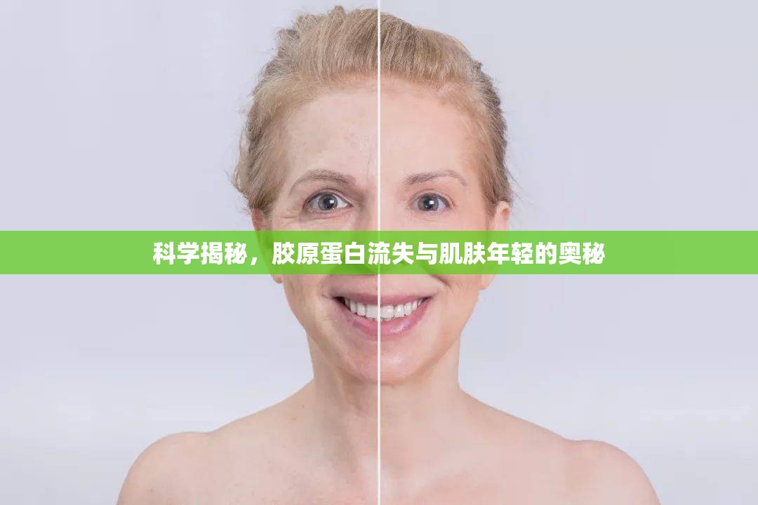 科學(xué)揭秘，膠原蛋白流失與肌膚年輕的奧秘