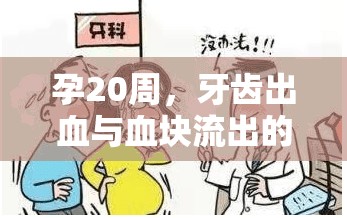 孕20周，牙齒出血與血塊流出的原因解析
