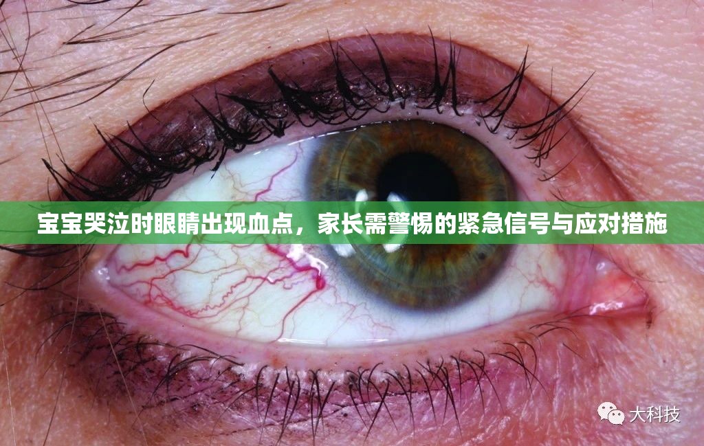 寶寶哭泣時(shí)眼睛出現(xiàn)血點(diǎn)，家長(zhǎng)需警惕的緊急信號(hào)與應(yīng)對(duì)措施