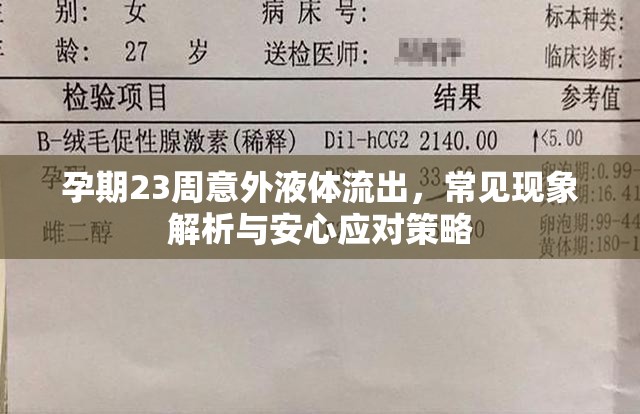 孕期23周意外液體流出，常見現(xiàn)象解析與安心應對策略