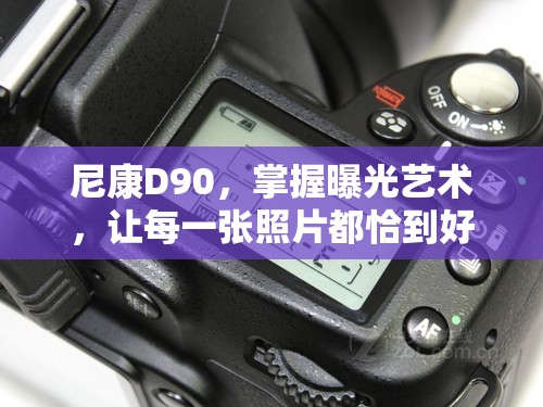 尼康D90，掌握曝光藝術(shù)，讓每一張照片都恰到好處
