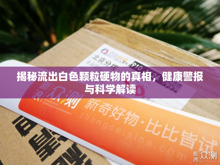 揭秘流出白色顆粒硬物的真相，健康警報(bào)與科學(xué)解讀