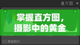 掌握直方圖，攝影中的黃金法則