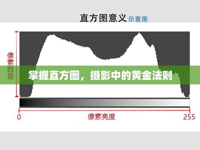 掌握直方圖，攝影中的黃金法則
