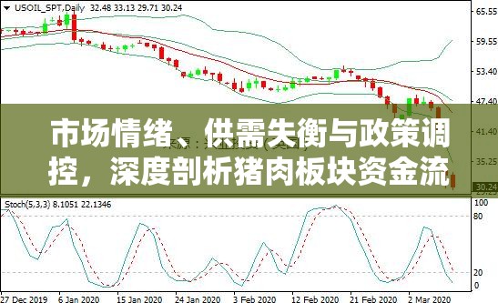 市場情緒、供需失衡與政策調(diào)控，深度剖析豬肉板塊資金流出的多重因素