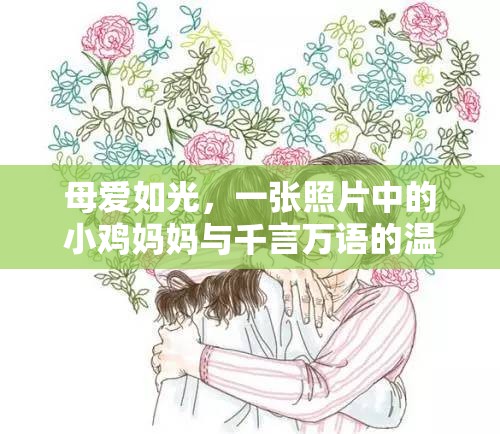 母愛如光，一張照片中的小雞媽媽與千言萬(wàn)語(yǔ)的溫情