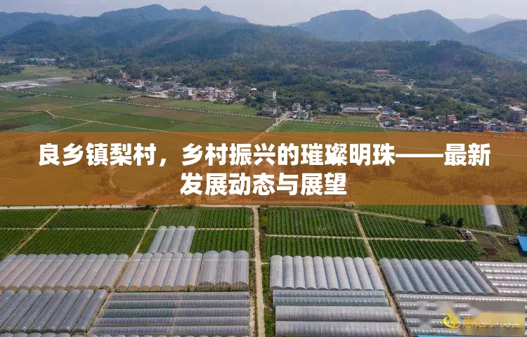 良鄉(xiāng)鎮(zhèn)梨村，鄉(xiāng)村振興的璀璨明珠——最新發(fā)展動態(tài)與展望