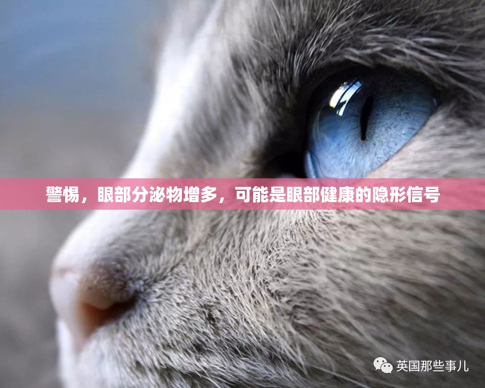警惕，眼部分泌物增多，可能是眼部健康的隱形信號(hào)