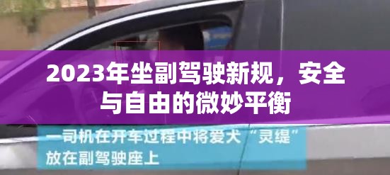 2023年坐副駕駛新規(guī)，安全與自由的微妙平衡