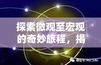 探索微觀至宏觀的奇妙旅程，揭示進入與流出的奧秘