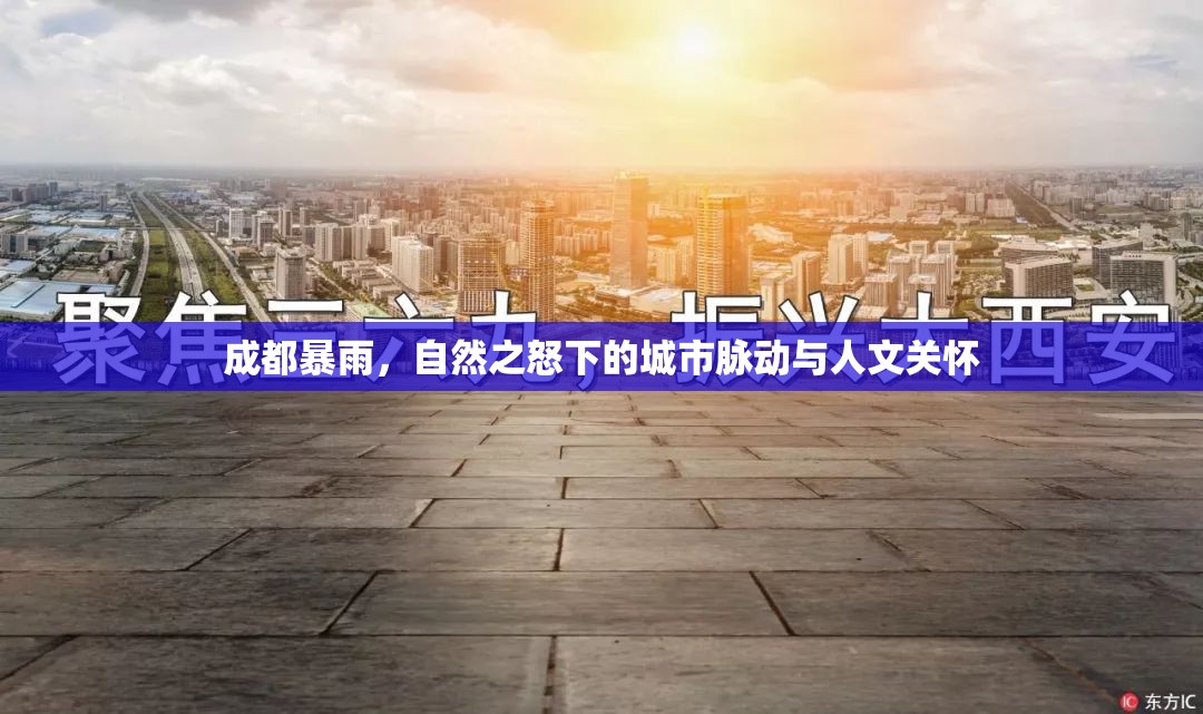 成都暴雨，自然之怒下的城市脈動與人文關(guān)懷