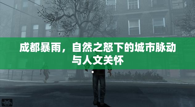 成都暴雨，自然之怒下的城市脈動與人文關(guān)懷
