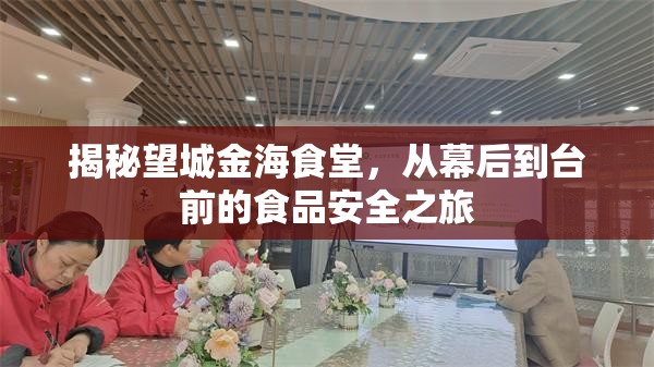揭秘望城金海食堂，從幕后到臺(tái)前的食品安全之旅