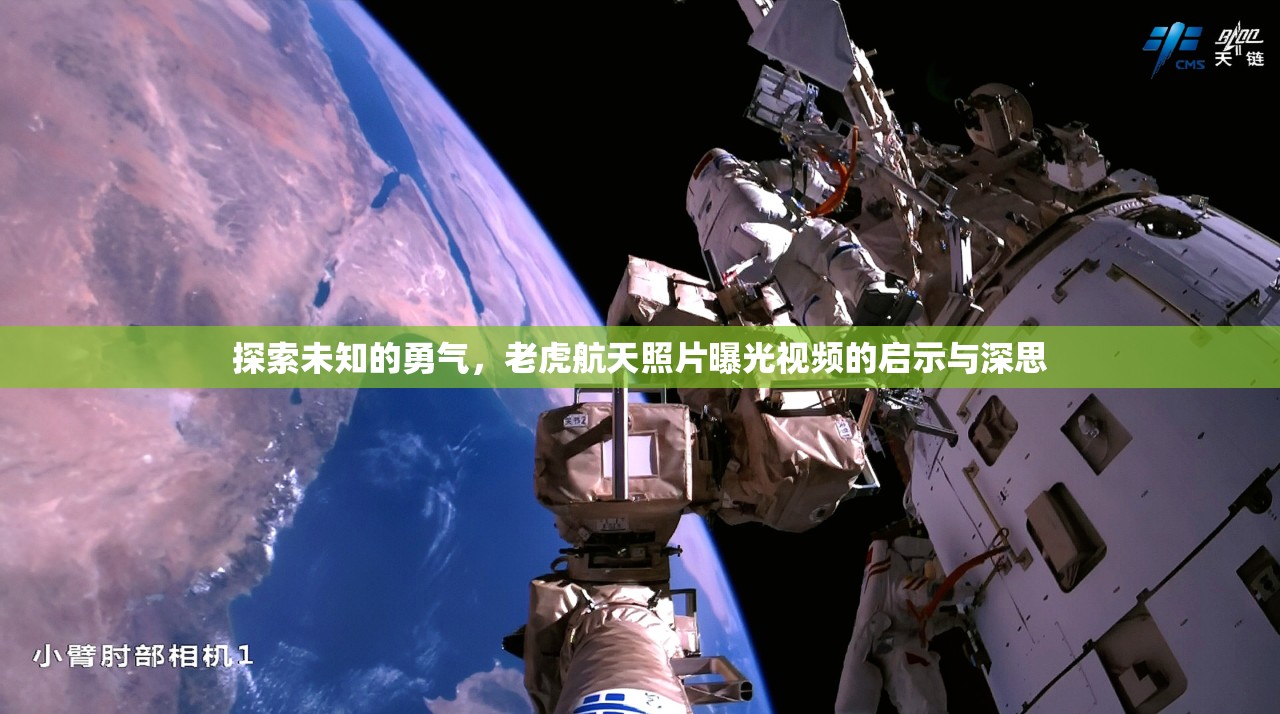 探索未知的勇氣，老虎航天照片曝光視頻的啟示與深思