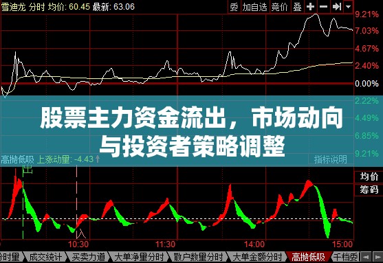 股票主力資金流出，市場動向與投資者策略調整
