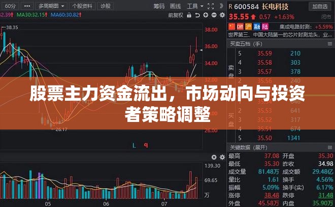 股票主力資金流出，市場動向與投資者策略調整