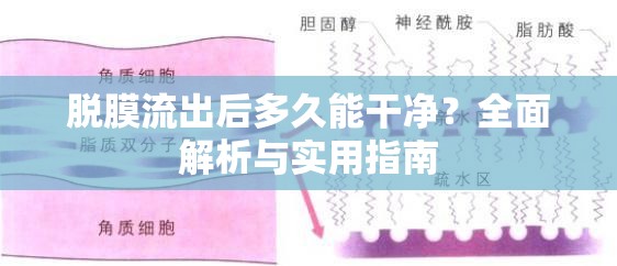 脫膜流出后多久能干凈？全面解析與實用指南