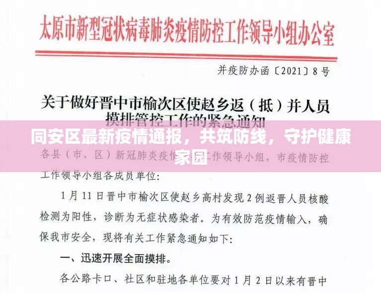 同安區(qū)最新疫情通報(bào)，共筑防線，守護(hù)健康家園