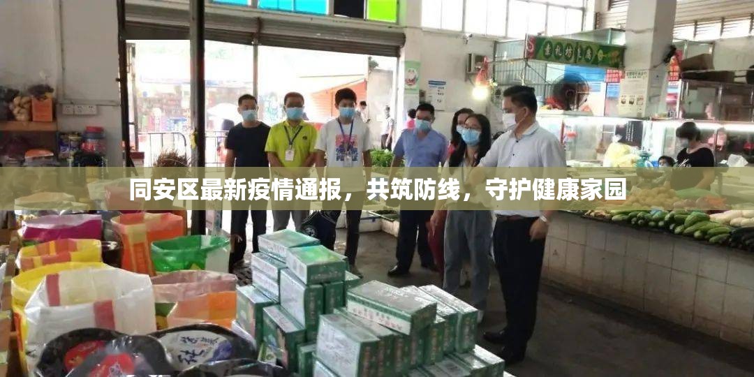 同安區(qū)最新疫情通報(bào)，共筑防線，守護(hù)健康家園