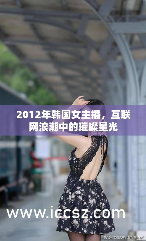 2012年韓國女主播，互聯(lián)網(wǎng)浪潮中的璀璨星光