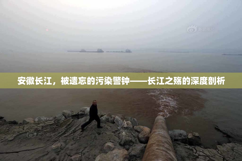 安徽長江，被遺忘的污染警鐘——長江之殤的深度剖析