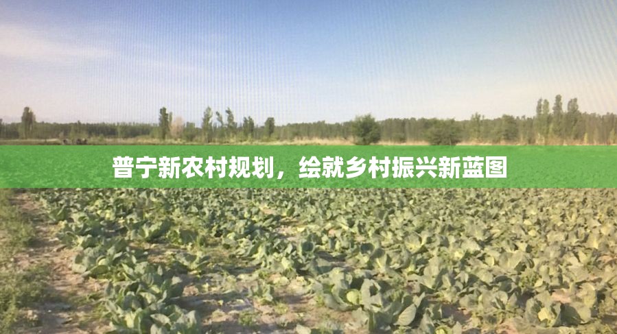 普寧新農(nóng)村規(guī)劃，繪就鄉(xiāng)村振興新藍(lán)圖