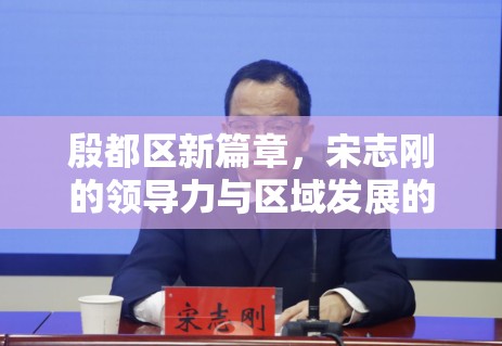 殷都區(qū)新篇章，宋志剛的領(lǐng)導(dǎo)力與區(qū)域發(fā)展的新動向