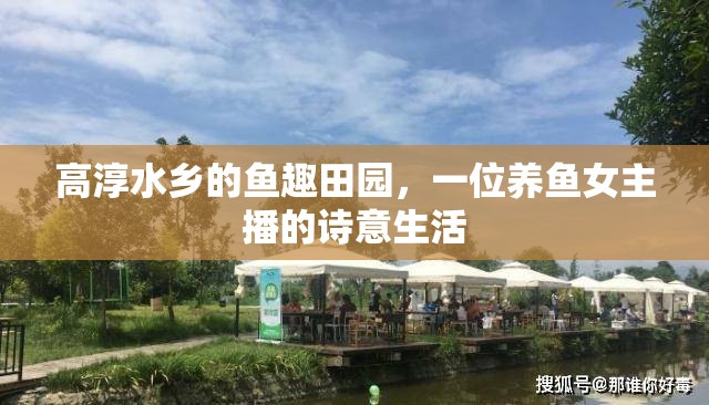 高淳水鄉(xiāng)的魚趣田園，一位養(yǎng)魚女主播的詩意生活