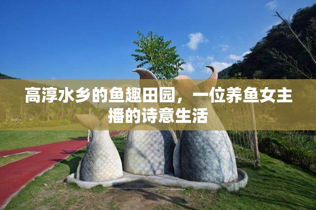高淳水鄉(xiāng)的魚趣田園，一位養(yǎng)魚女主播的詩意生活