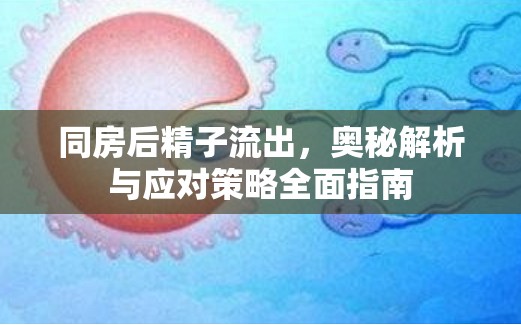 同房后精子流出，奧秘解析與應對策略全面指南