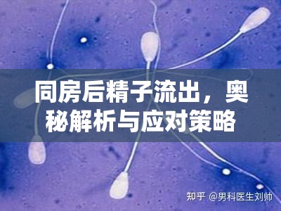 同房后精子流出，奧秘解析與應對策略全面指南