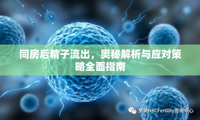 同房后精子流出，奧秘解析與應對策略全面指南