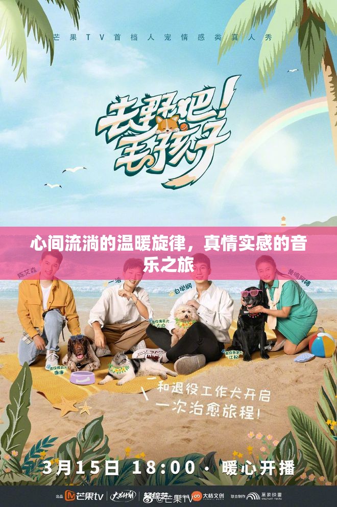 心間流淌的溫暖旋律，真情實(shí)感的音樂之旅