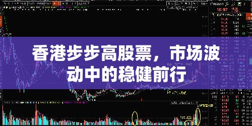 香港步步高股票，市場波動中的穩(wěn)健前行