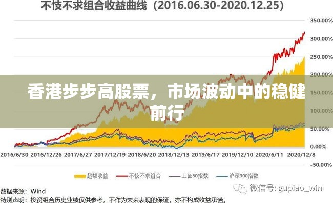 香港步步高股票，市場波動中的穩(wěn)健前行