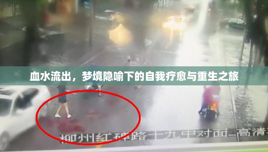 血水流出，夢(mèng)境隱喻下的自我療愈與重生之旅
